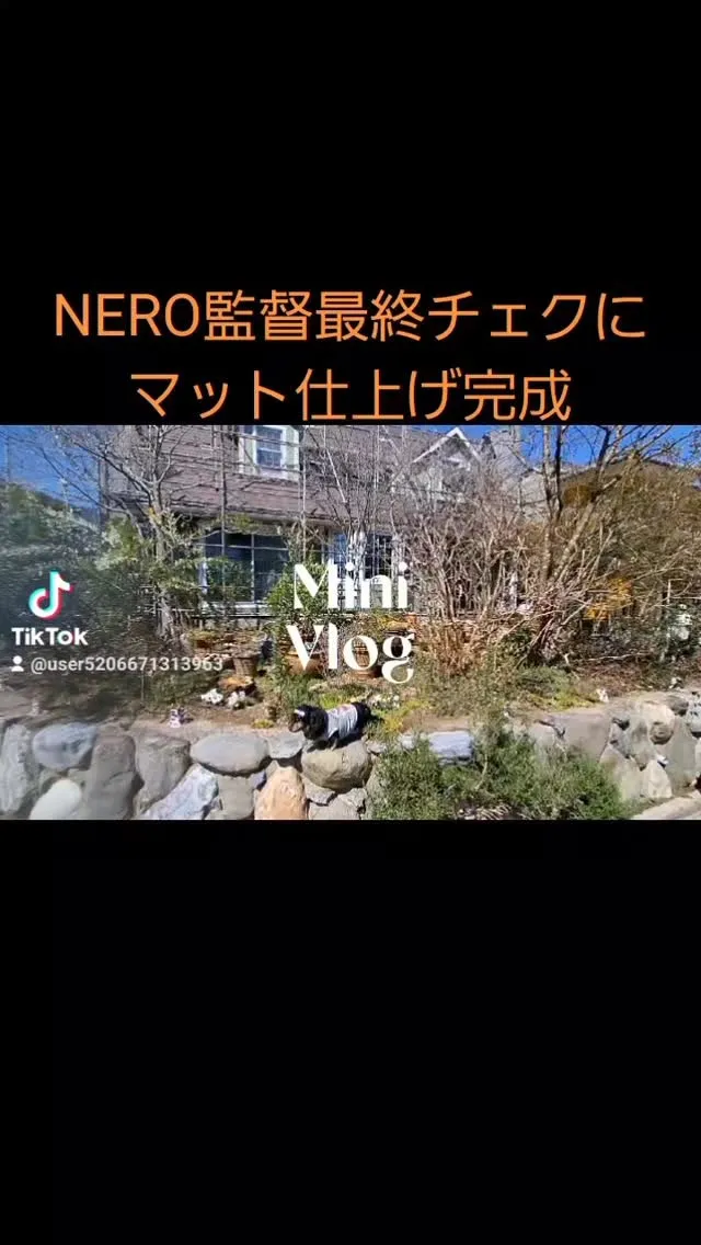 NERO元気になり最終チェクにマット仕上げ完成