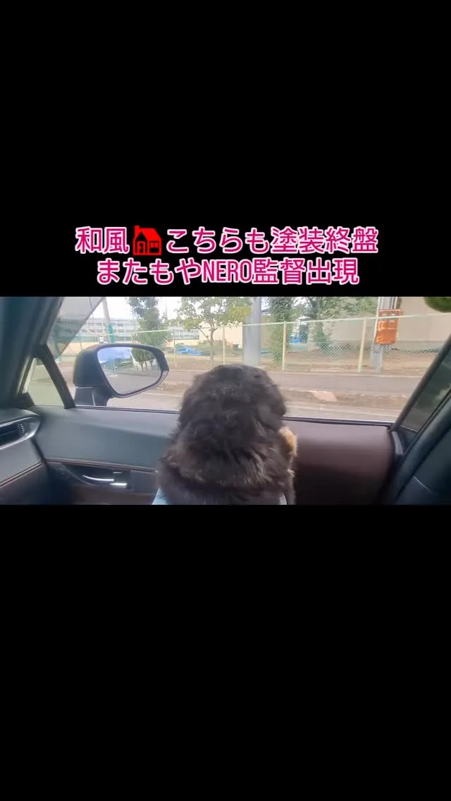 和風家こちらも終盤、またもやNERO監督出現、超低汚染無機フ...
