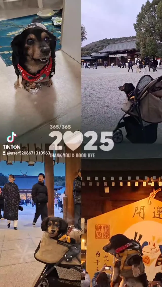 新年明けましておめでとうございます！🎍🐴✨今年もNEROとも...